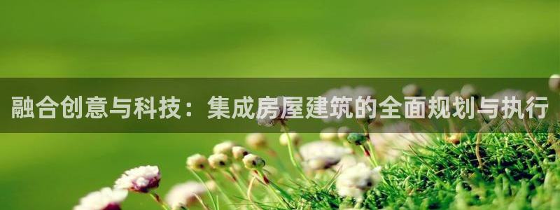 威九国际软件：融合创意与科技：集成房屋建筑的全面规划与执行