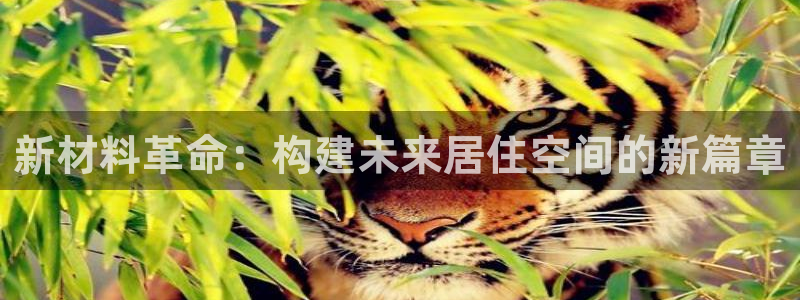 威九国际网站进入客服中心：新材料革命：构建未来居住空间的新篇章