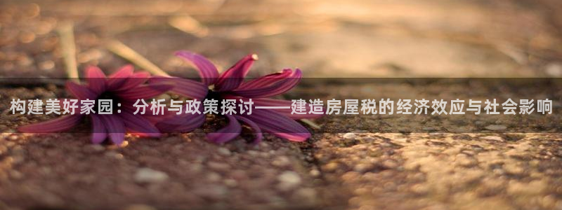 威九国际可以退钱吗怎么退：构建美好家园：分析与政策探讨——建造房屋税的经济效应与社会影响