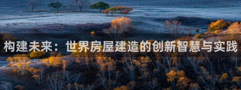 威九国际v96242cc官网版：构建未来：世界房屋建造的创新智慧与实践