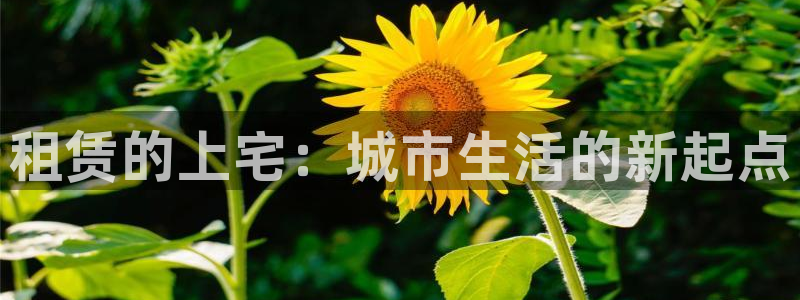 威九国际正规吗：租赁的上宅：城市生活的新起点