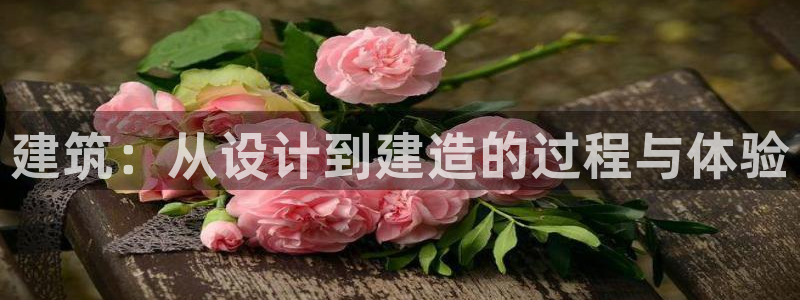 威九国际66m：建筑：从设计到建造的过程与体验