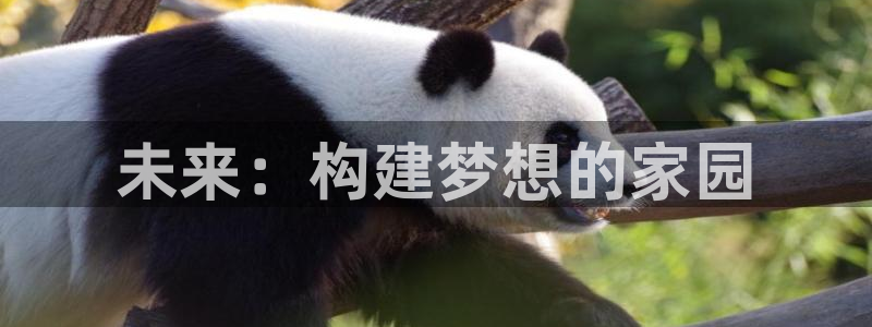 威九国际66m66模式视频：未来：构建梦想的家园
