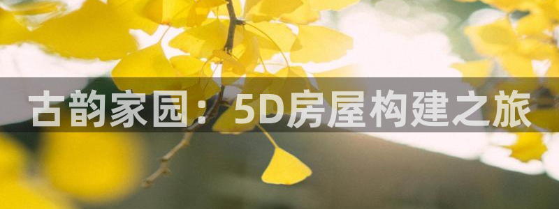 威九国际正规吗：古韵家园：5D房屋构建之旅