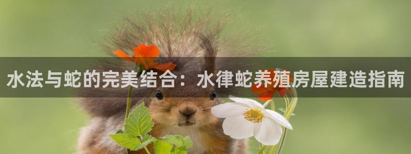 威九国际旗下艺人都有谁：水法与蛇的完美结合：水律蛇养殖房屋建造指南