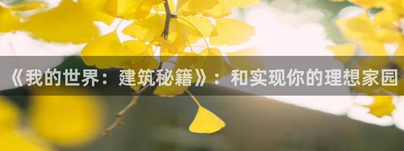 威九国际女艺人：《我的世界：建筑秘籍》：和实现你的理想家园