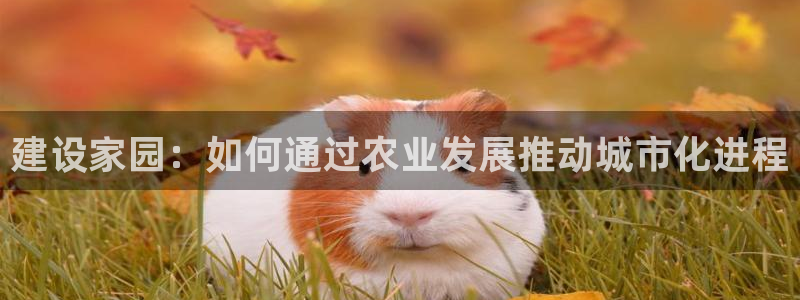 威九国际ppt免费：建设家园：如何通过农业发展推动城市化进程
