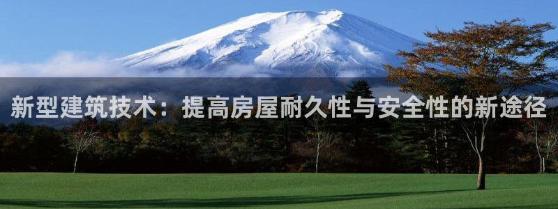 威九国际网站入口官网首页：新型建筑技术：提高房屋耐久性与安全性的新途径