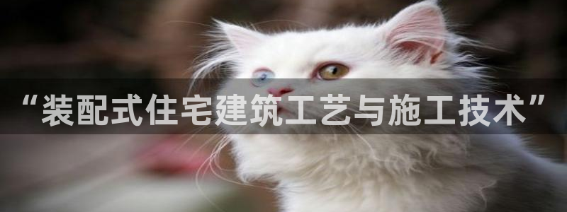 78mapp威九国际最新版：“装配式住宅建筑工艺与施工技术”
