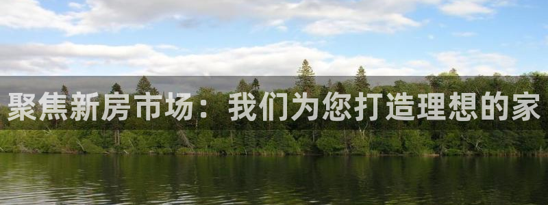 威九国际合作伙伴有哪些：聚焦新房市场：我们为您打造理想的家