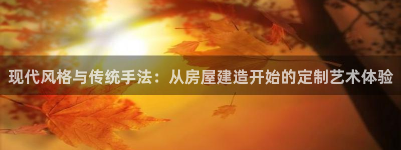 66m威九国际精选:现代风格与传统手法:从房屋建造开始的定制艺术体验