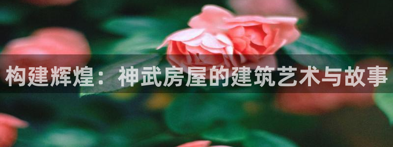 78mapp威九国际免费官方版下载:构建辉煌:神武房屋的建筑艺术与故事