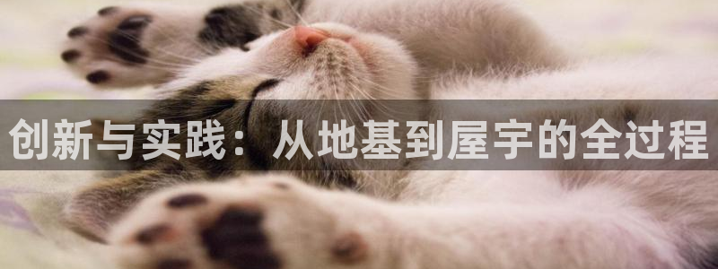 威九国际：创新与实践：从地基到屋宇的全过程