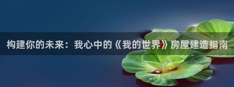 威九国际第一页：构建你的未来：我心中的《我的世界》房屋建造指南