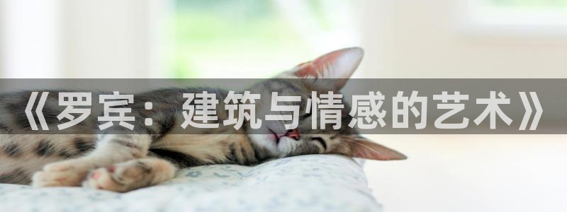 威九国际可以退钱吗怎么退款：《罗宾：建筑与情感的艺术》