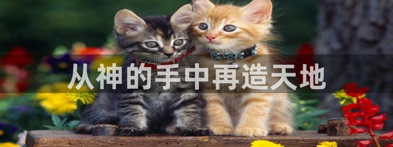 威九国际APP客服：从神的手中再造天地