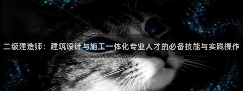 威九国际78m78下载：二级建造师：建筑设计与施工一体化专业人才的必备技能与实践操作
