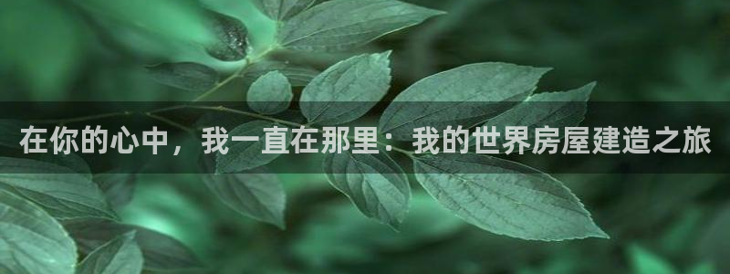 威九国际旗下艺人：在你的心中，我一直在那里：我的世界房屋建造之旅