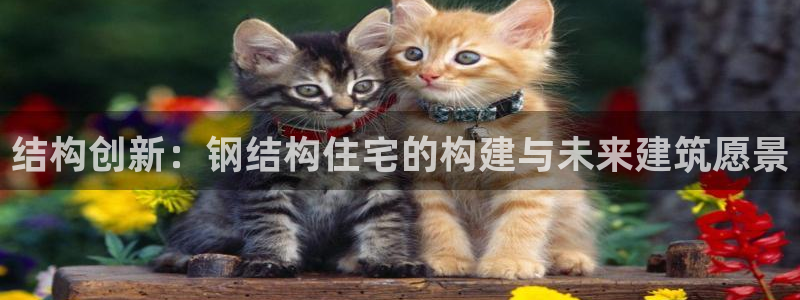 威九国际78m78免费：结构创新：钢结构住宅的构建与未来建筑愿景