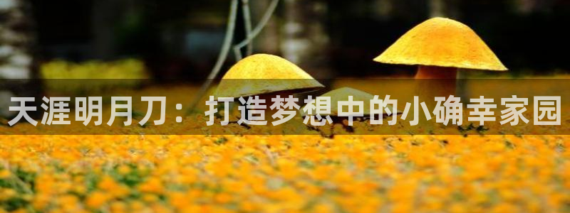 威九国际免费版：天涯明月刀：打造梦想中的小确幸家园