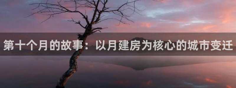 威九国际66m：第十个月的故事：以月建房为核心的城市变迁