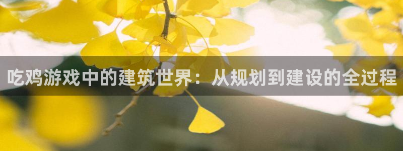 威九国际的金融服务怎么样：吃鸡游戏中的建筑世界：从规划到建设的全过程