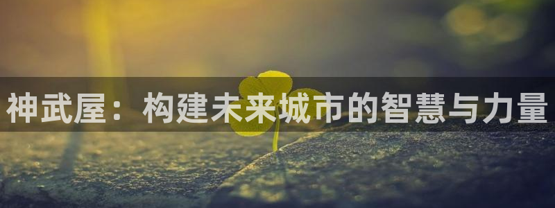 威九国际78mb下载：神武屋：构建未来城市的智慧与力量