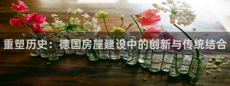 威九国际78mob游戏说明：重塑历史：德国房屋建设中的创新与传统结合