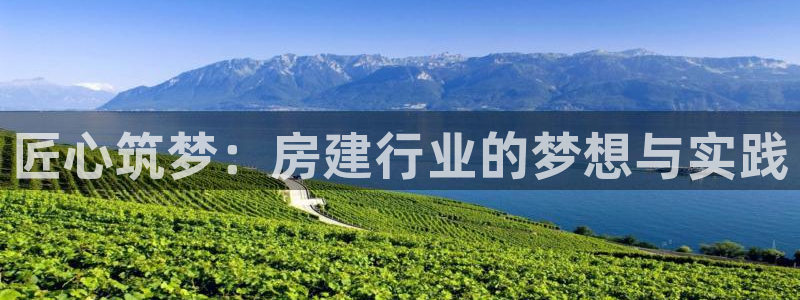 威九国际电影HD：匠心筑梦：房建行业的梦想与实践