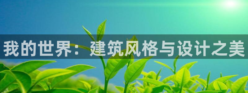 威九国际客服电话号码是多少：我的世界：建筑风格与设计之美