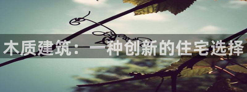 威九国际的金融服务有哪些