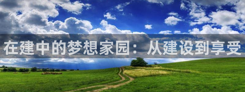 威九国际游戏：在建中的梦想家园：从建设到享受