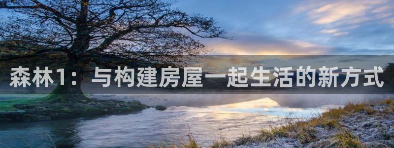 威九国际观看：森林1：与构建房屋一起生活的新方式