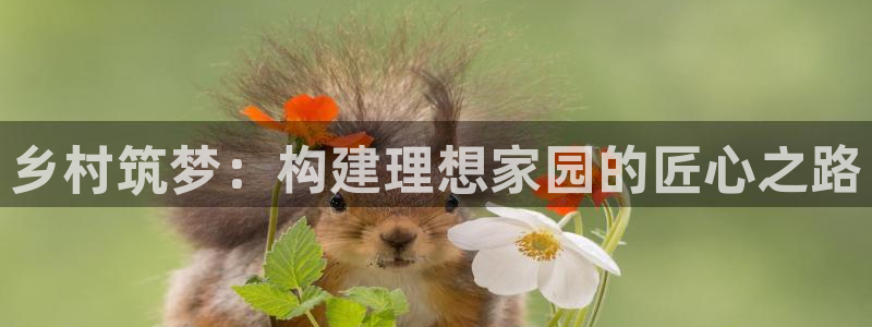 威九国际网页看视频弹窗的广告拦截插件