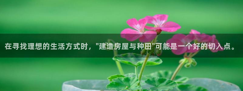 威九国际合作伙伴有哪些：在寻找理想的生活方式时，\