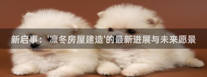 威九国际体育app下载：新启事：\'凛冬房屋建造\'的最新进展与未来愿景