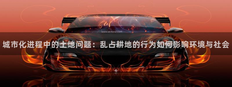 威九国际的金融服务：城市化进程中的土地问题：乱占耕地的行为如何影响环境与社会