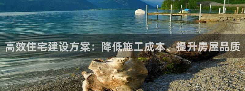 威九国际网站登录：高效住宅建设方案：降低施工成本、提升房屋品质