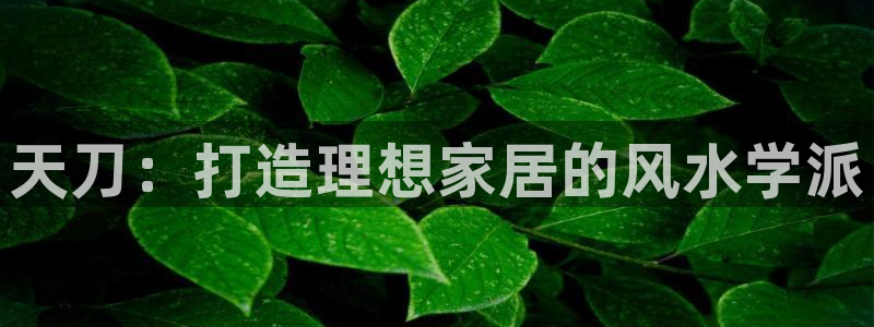 威九国际网站进入产品中心
