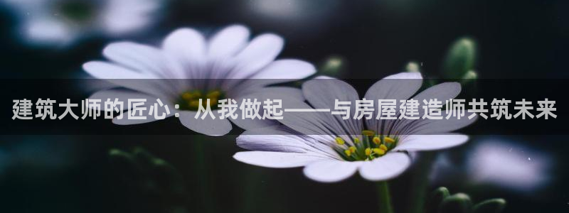 威九国际网站进入客服中心：建筑大师的匠心：从我做起——与房屋建造师共筑未来