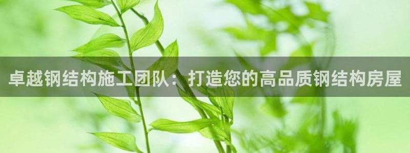 威九国际mm：卓越钢结构施工团队：打造您的高品质钢结构房屋