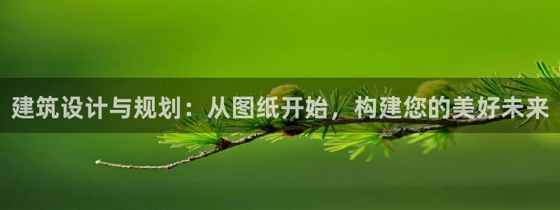 威九国际可以退钱吗怎么退的：建筑设计与规划：从图纸开始，构建您的美好未来