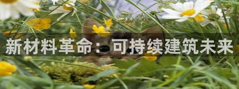 威九国际女孩：新材料革命：可持续建筑未来