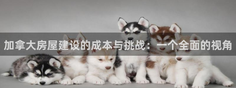 威九国际66m66模式视频：加拿大房屋建设的成本与挑战：一个全面的视角