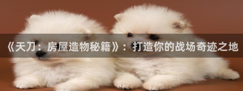 威九国际惠子：《天刀：房屋造物秘籍》：打造你的战场奇迹之地