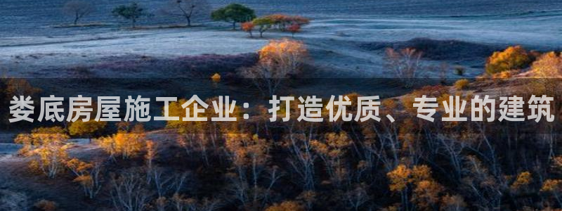 威九国际女演员名单介绍：娄底房屋施工企业：打造优质、专业的建筑
