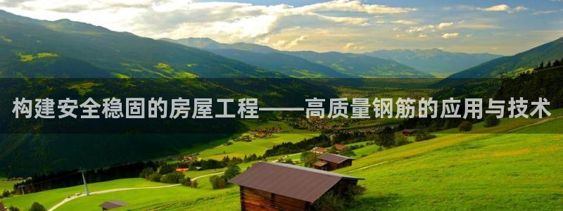 威九国际的网站入口在哪里：构建安全稳固的房屋工程——高质量钢筋的应用与技术