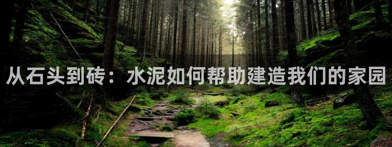威九国际网站入口官网免费：从石头到砖：水泥如何帮助建造我们的家园