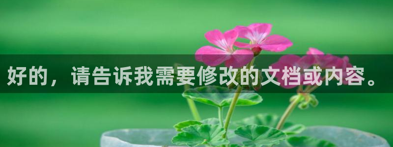 威九国际图片：好的，请告诉我需要修改的文档或内容。