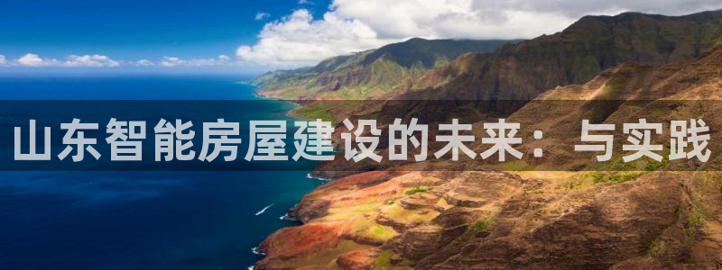 威九国际网站在哪里：山东智能房屋建设的未来：与实践